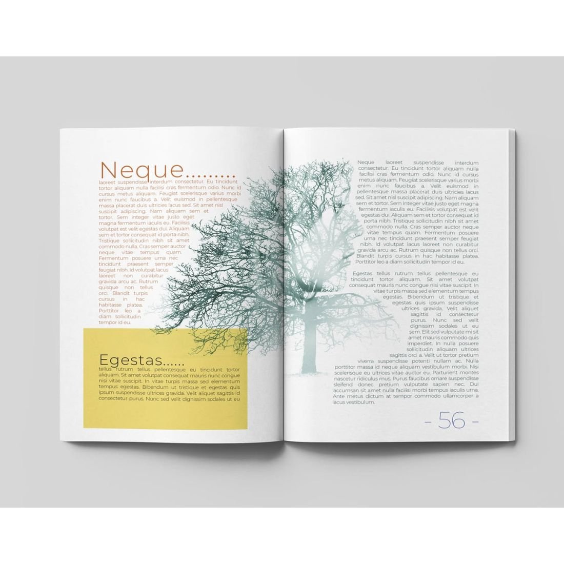 Illustrated interior, book interior formatting