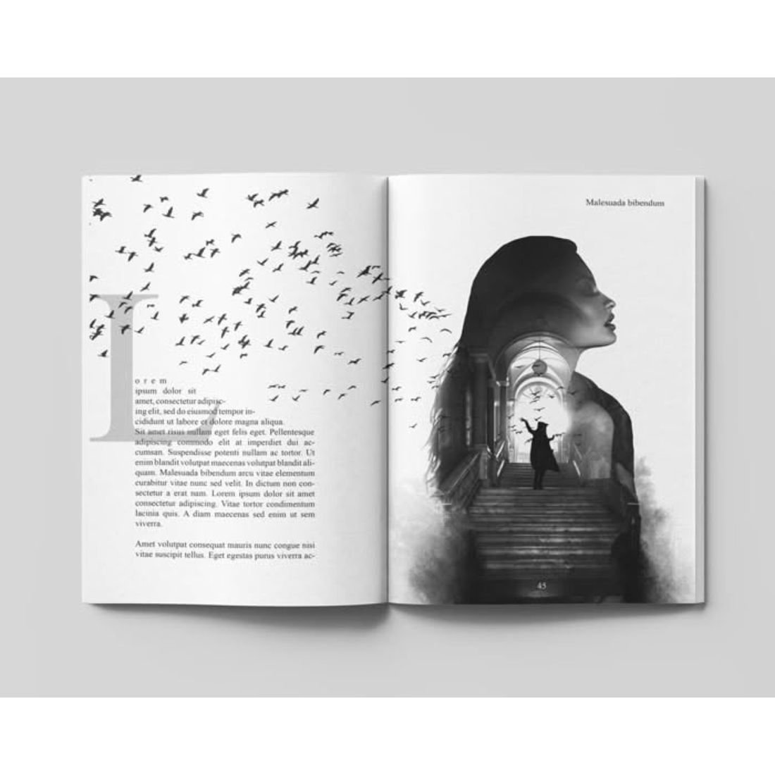Image-led chapter, book interior formatting