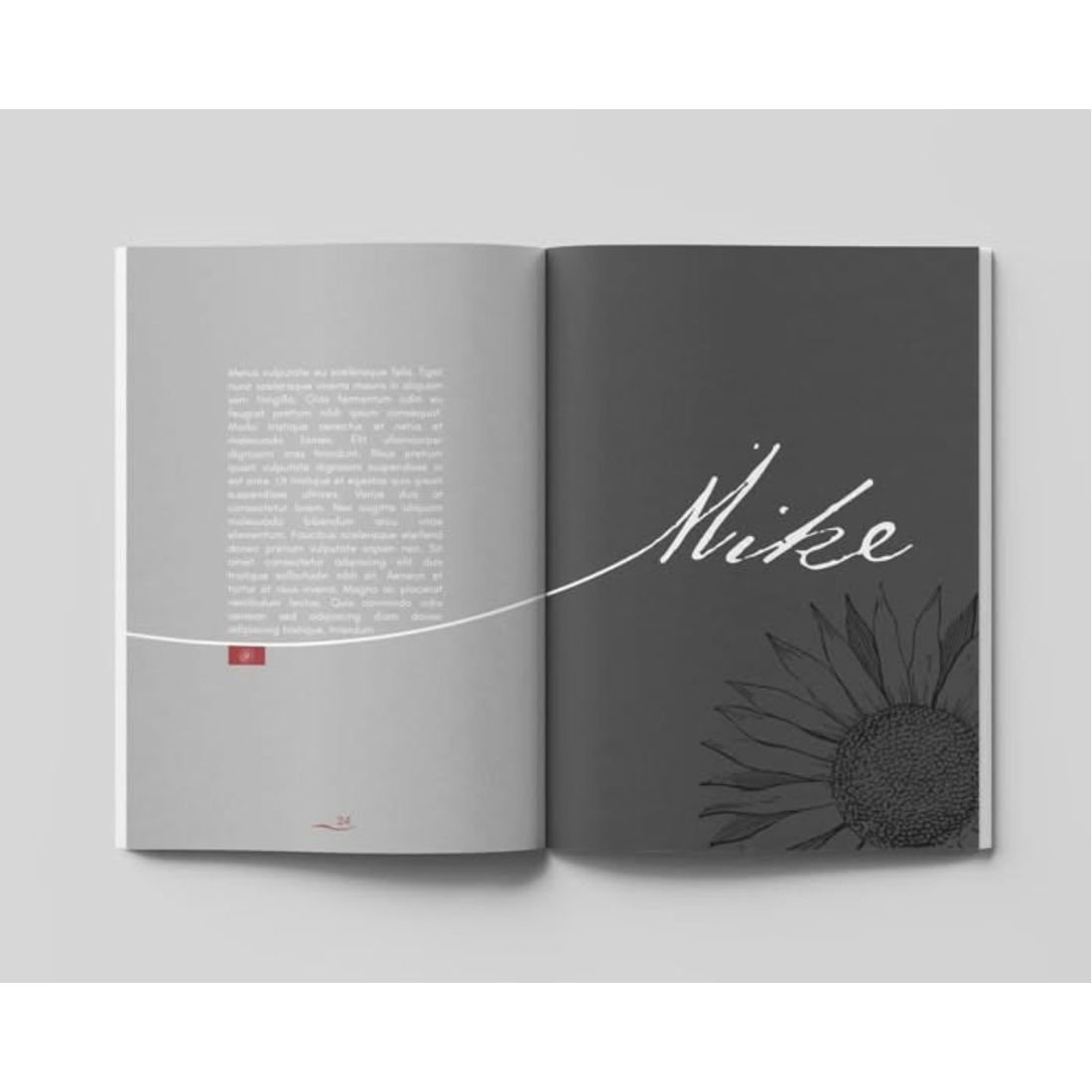 Character divider, book interior formatting