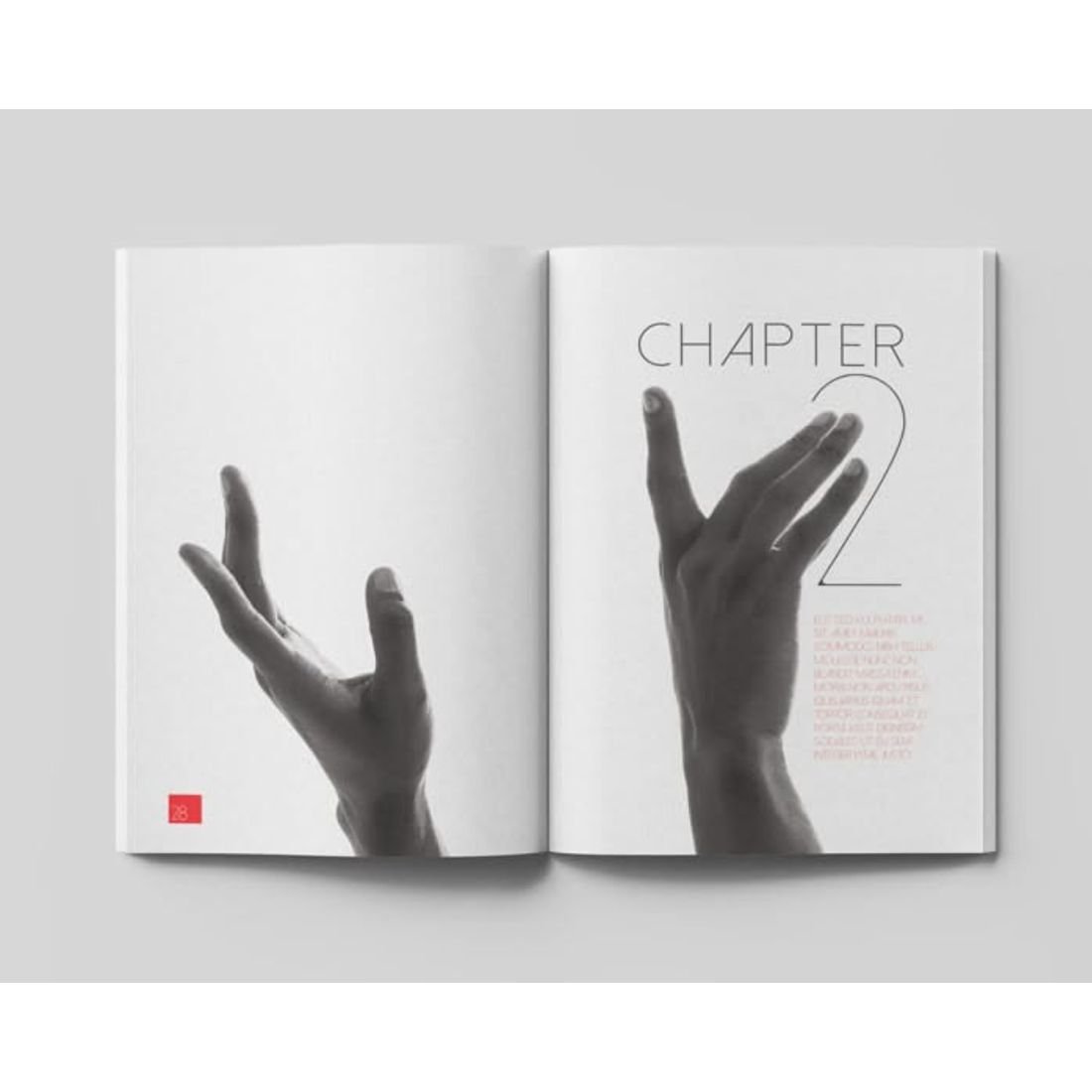 Photographic divider, book interior formatting