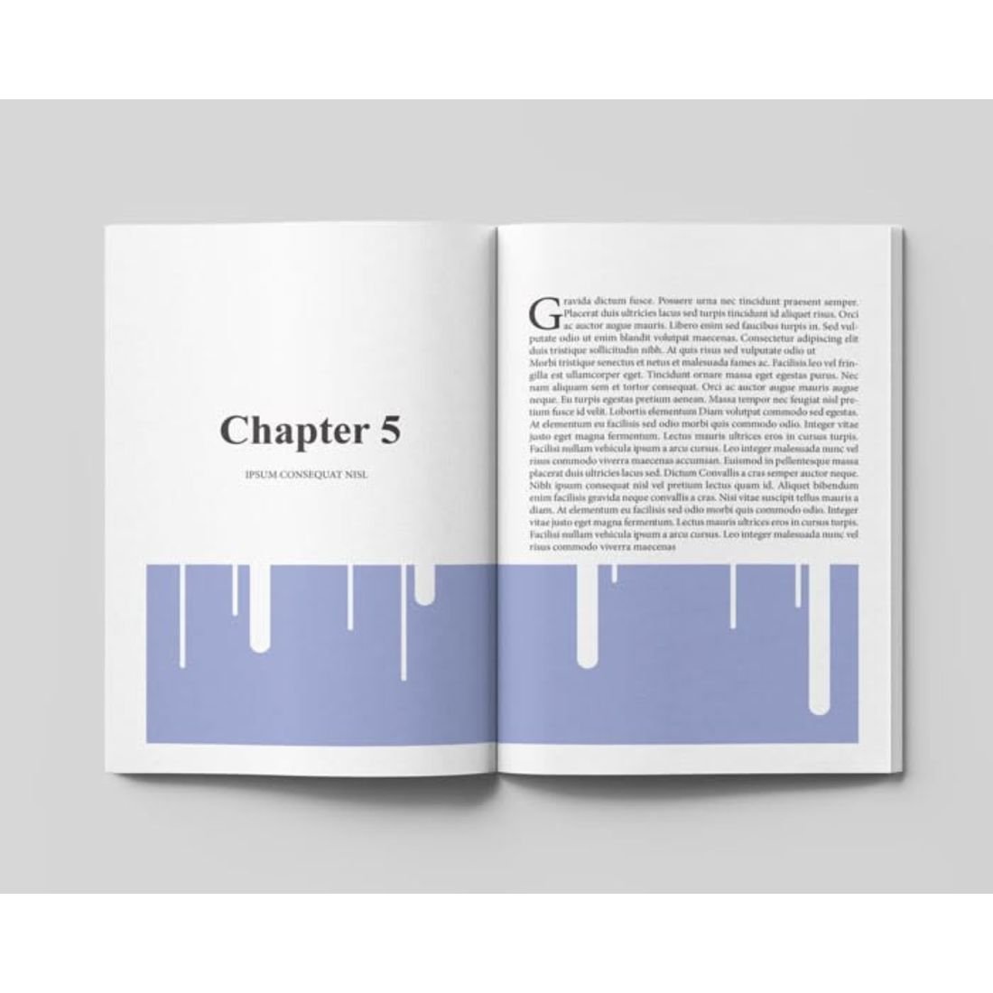 Graphic chapter divider, book interior formatting